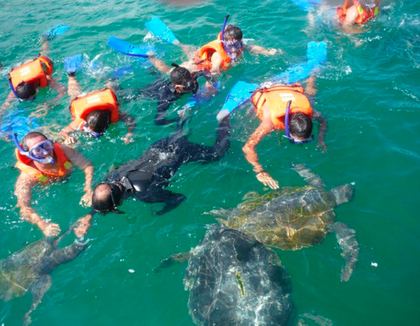 Nado con tortugas en El Ñuro